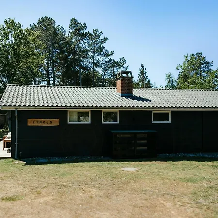 Nordic-style Summer House Near Forest And *