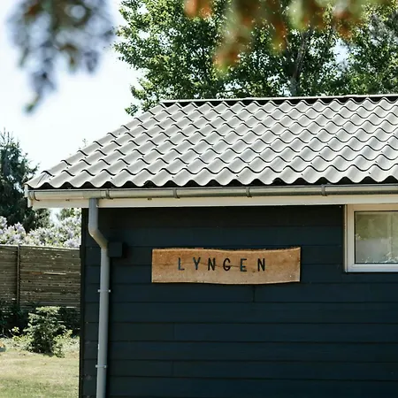 Nordic-style Summer House Near Forest And * Vig